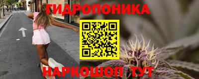 ГАЛЛЮЦИНОГЕННЫЕ ГРИБЫ Гатчина