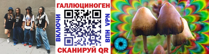 Галлюциногенные грибы Psilocybine cubensis  сколько стоит  Кемерово 