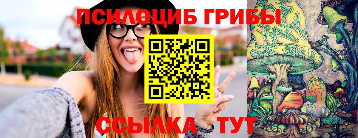 Галлюциногенные грибы Psilocybine cubensis Кемерово