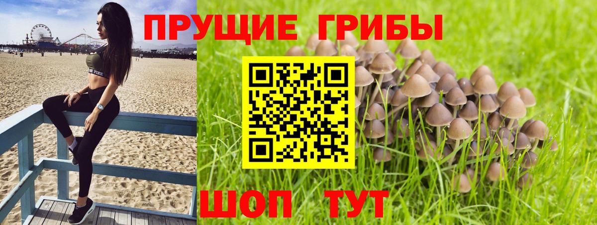 Галлюциногенные грибы ЛСД  Галлюциногенные грибы MAGIC MUSHROOMS  Вход с VPN  Кемерово 